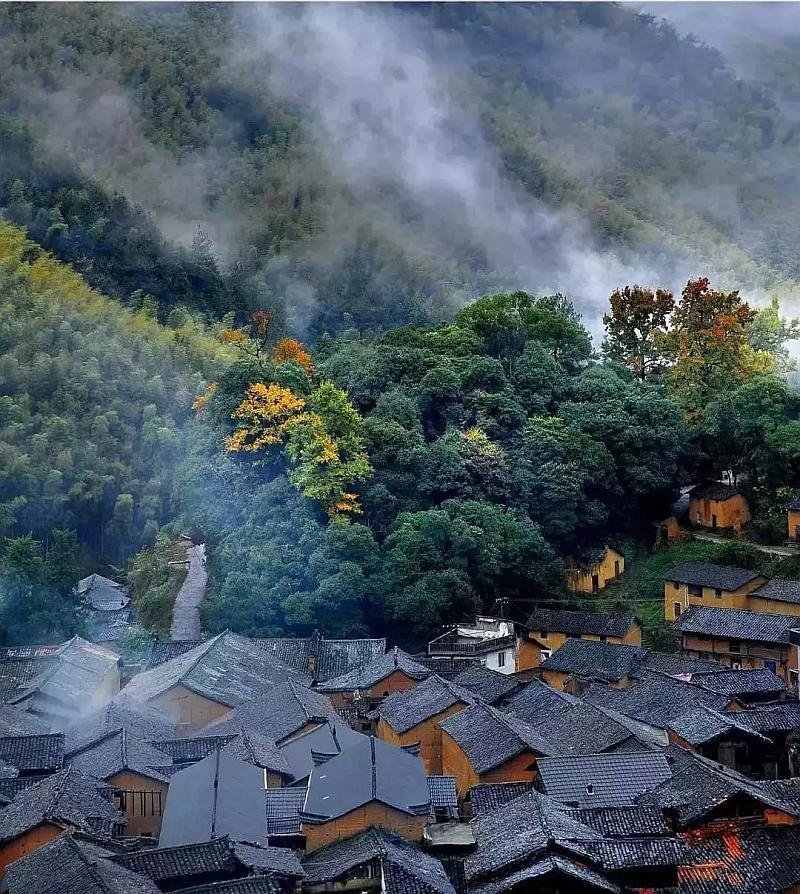 古墓丽影：崛起