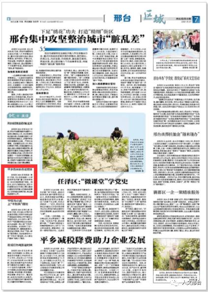 时尚博主